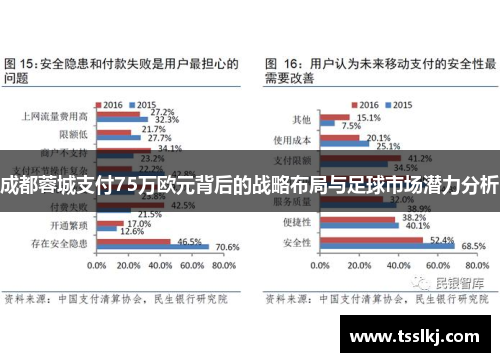 成都蓉城支付75万欧元背后的战略布局与足球市场潜力分析